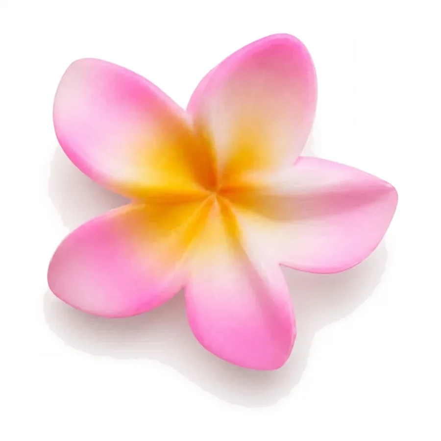 Blush Pink flower catcher clip — product photo
