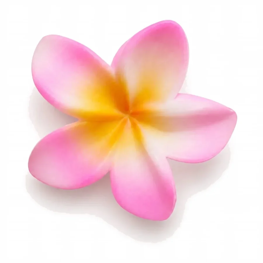 (plumeria-flower-claw-clip-pink-trendiest-store.webp): Pink frangipani flower claw hair clip with golden centre - Trendiest Store