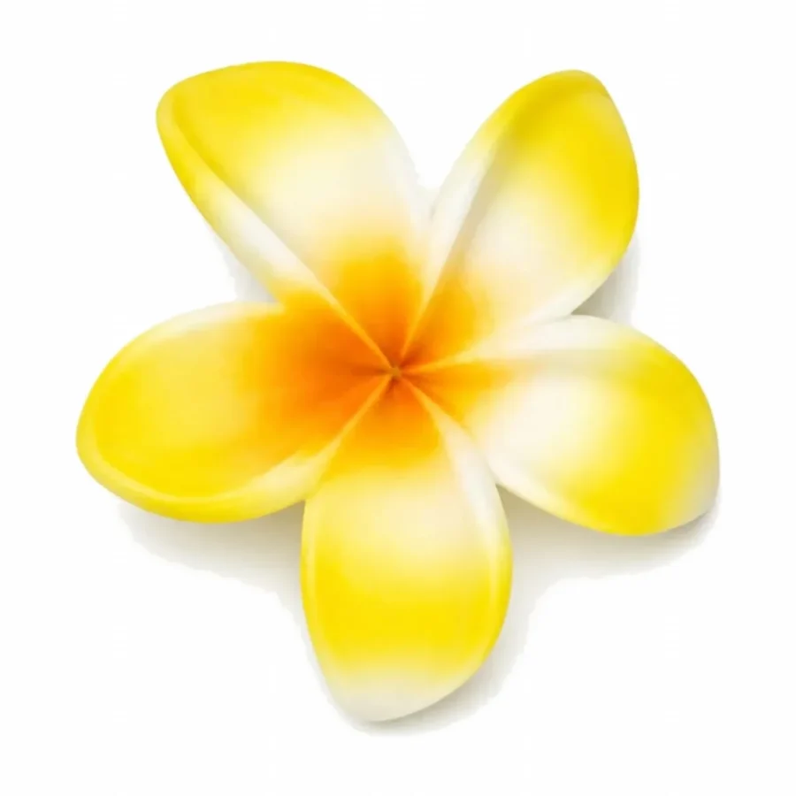 (plumeria-flower-claw-clip-yellow-trendiest-store.webp): Yellow frangipani flower claw clip for buns and half-up styles - Trendiest Store